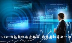 USDT钱包转账速度揭秘：你需要知道的一切