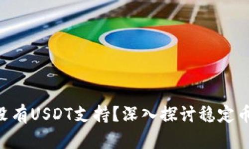 Tokenim为何没有USDT支持？深入探讨稳定币的使用与限制