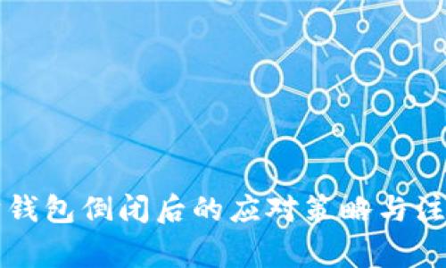 以太坊钱包倒闭后的应对策略与注意事项