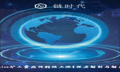 tokenim矿工费为何持续上涨？深度解析与解决方案