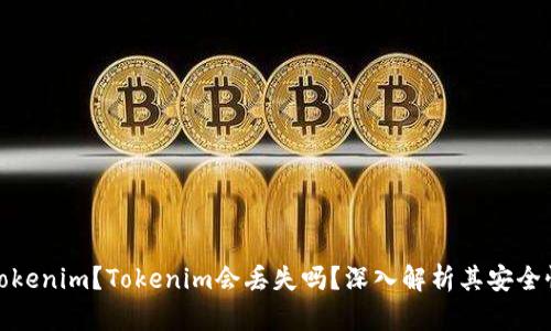 什么是Tokenim？Tokenim会丢失吗？深入解析其安全性和风险
