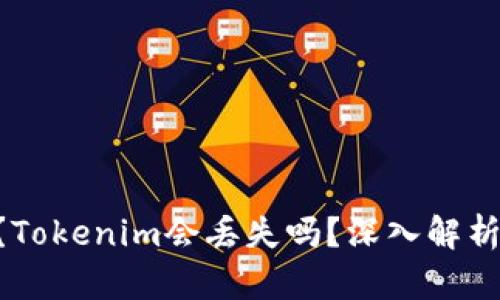 什么是Tokenim？Tokenim会丢失吗？深入解析其安全性和风险