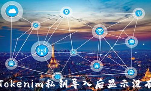 
如何解决Tokenim私钥导入后显示没有币的问题