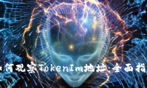 如何观察TokenIm地址：全面指南