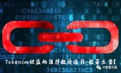 Tokenim被盗的法律救济途径