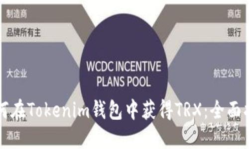 如何在Tokenim钱包中获得TRX：全面指南