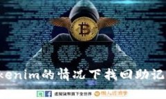 如何在没有Tokenim的情况下