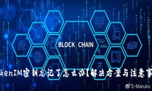 TokenIM密钥忘记了怎么办？解决方案与注意事项
