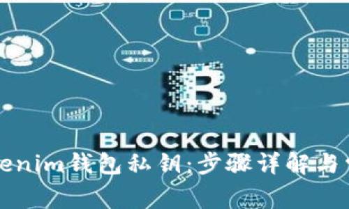 如何导入Tokenim钱包私钥：步骤详解与常见问题解析