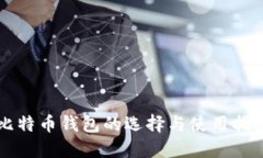 比特币钱包的选择与使用指南