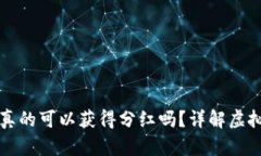 虚拟币放钱包真的可以获得分红吗？详解虚拟币