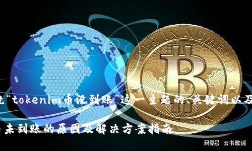 下面是围绕“tokenim币没到账”这一主题的、关键词以及内容大纲。

tokenim币未到账的原因及解决方案指南