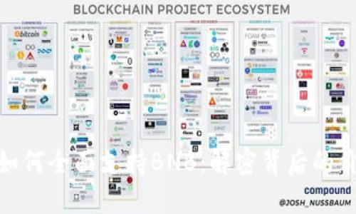 “TokenIM如何全面支持BNB：解密背后的价值与应用”