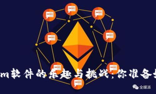 开发Tokenim软件的乐趣与挑战：你准备好迎接了吗？