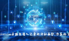 揭开Tokenim区块链转入记录