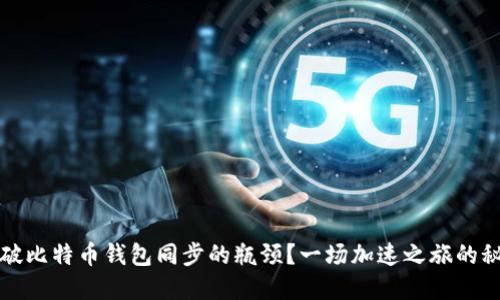 如何突破比特币钱包同步的瓶颈？一场加速之旅的秘密揭晓