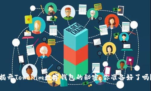 揭开Tokenim数字钱包的秘密：你准备好了吗？