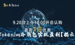 如何通过Tokenim冷钱包实现