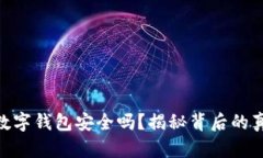 Tokenim数字钱包安全吗？揭