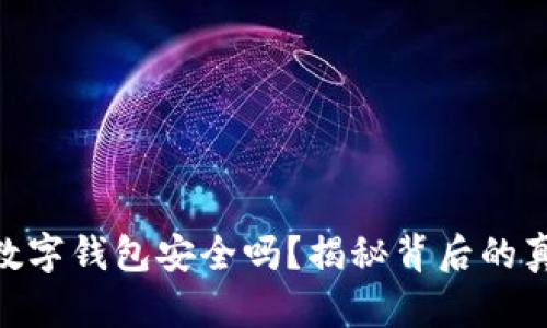 Tokenim数字钱包安全吗？揭秘背后的真相与未来