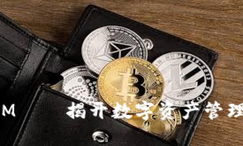 探索TokenIM——揭开数字资产管理的神秘面纱