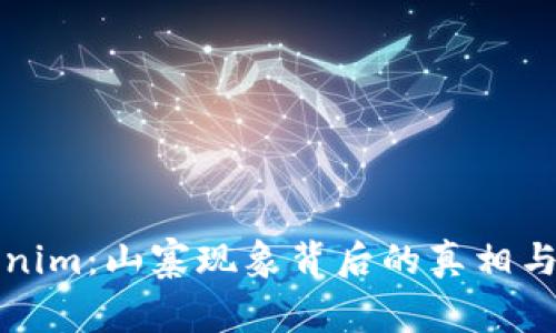 tokenim：山寨现象背后的真相与启示