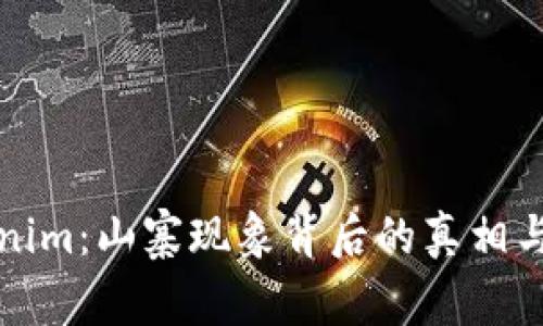 tokenim：山寨现象背后的真相与启示