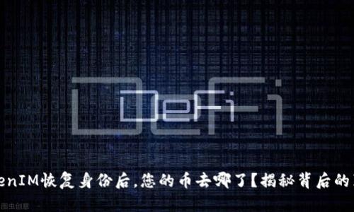 TokenIM恢复身份后，您的币去哪了？揭秘背后的真相