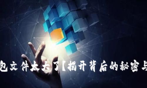 比特币钱包文件太大了？揭开背后的秘密与解决方案
