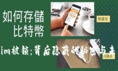 Tokenim被锁：背后隐藏的秘
