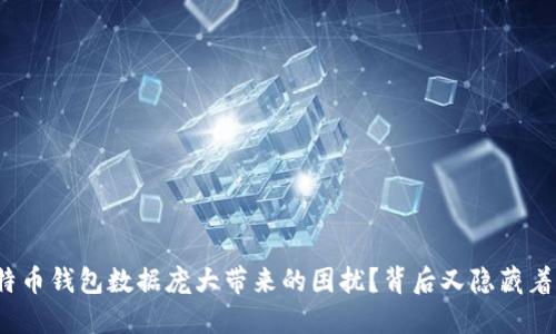 如何解决比特币钱包数据庞大带来的困扰？背后又隐藏着怎样的秘密？