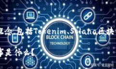 在讨论Tokenim里的Solana映射