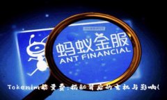 Tokenim能量费：揭秘背后的