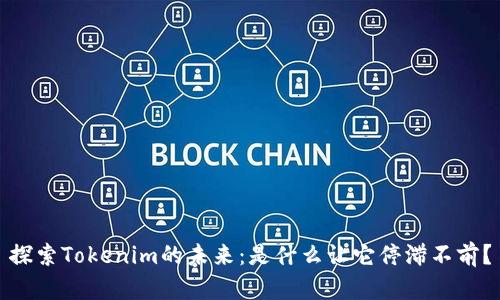 探索Tokenim的未来：是什么让它停滞不前？