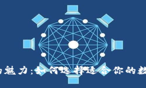 探索区块链钱包的魅力：如何选择适合你的数字资产管理工具？