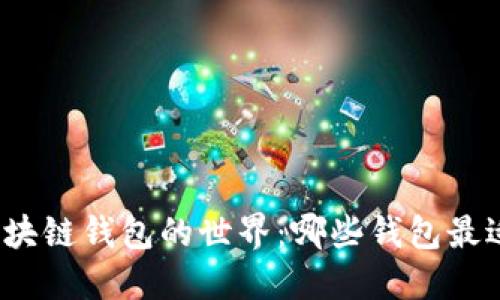 探索区块链钱包的世界：哪些钱包最适合你？