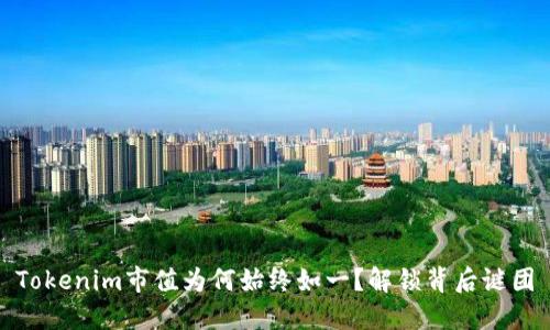 Tokenim市值为何始终如一？解锁背后谜团