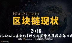你的Tokenim未到账？探索这