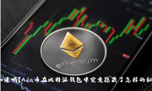 你知道吗？Ada币在比特派钱包中究竟隐藏了怎样的秘密？