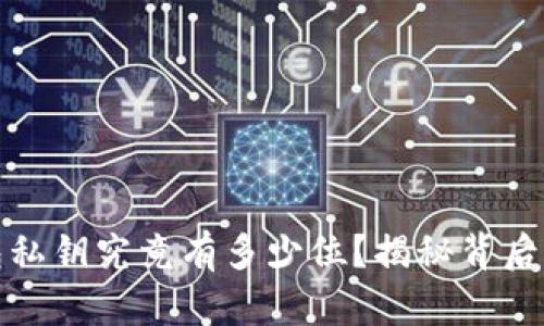 比特币钱包私钥究竟有多少位？揭秘背后的数字密码