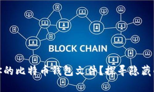 如何解锁你的比特币钱包文件？探寻隐藏的财富之路