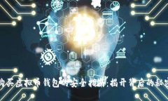 购买虚拟币钱包的安全指