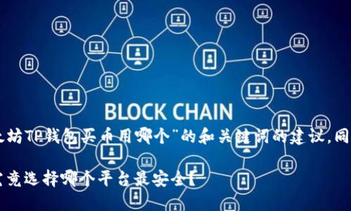 以下是一个针对“以太坊TP钱包买币用哪个”的和关键词的建议，同时提供内容主体大纲：

以太坊TP钱包买币，究竟选择哪个平台最安全？