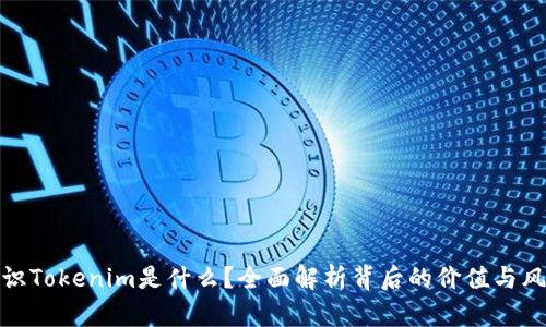 融识Tokenim是什么？全面解析背后的价值与风险