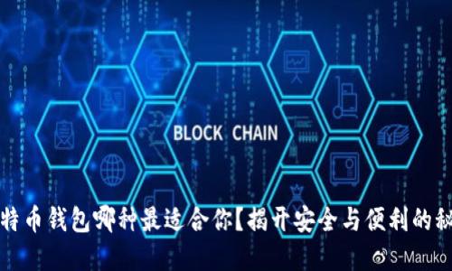 比特币钱包哪种最适合你？揭开安全与便利的秘密