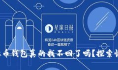 你丢失的虚拟币钱包真的