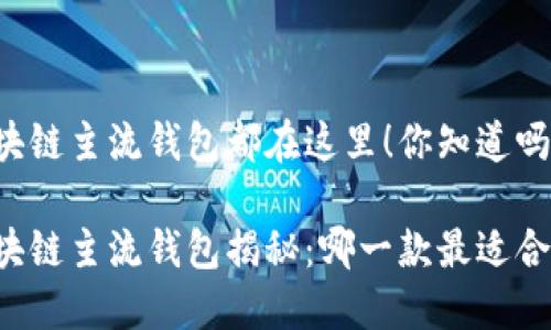 区块链主流钱包都在这里！你知道吗？

区块链主流钱包揭秘：哪一款最适合你？
