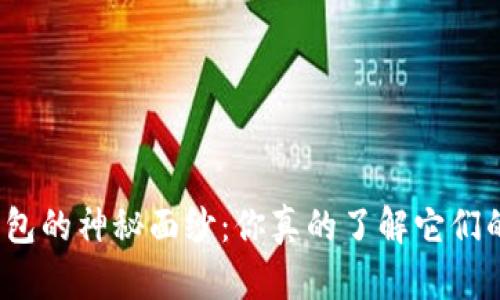 揭开比特币钱包的神秘面纱：你真的了解它们的背后秘密吗？
