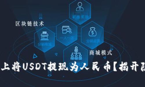 如何在Tokenim上将USDT提现为人民币？揭开隐秘的操作步骤！