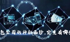 揭开广州虚拟币钱包公司